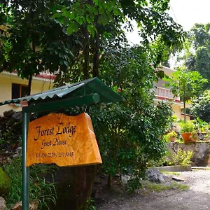 Forest Guest house